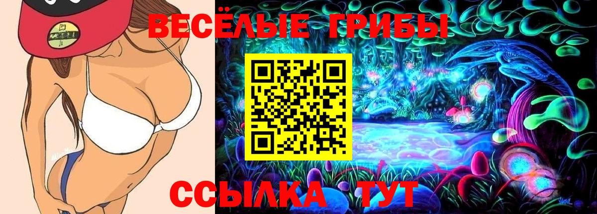 Галлюциногенные грибы Psilocybine cubensis  Галлюциногенные грибы мицелий  Ишимбай  Вход с VPN 
